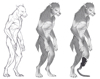 Werewolves - David II